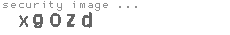 security image
