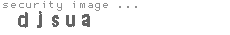 security image