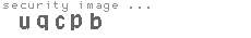 security image
