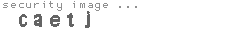 security image