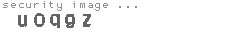 security image