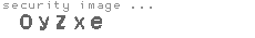 security image