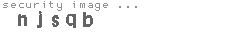 security image