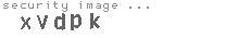 security image