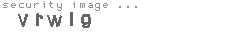 security image