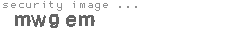 security image