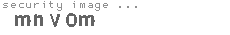 security image