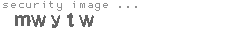 security image