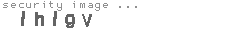 security image