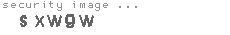 security image