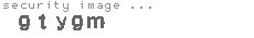 security image