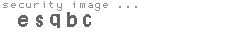 security image