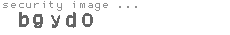 security image