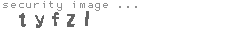 security image