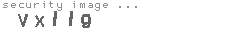 security image