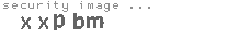 security image