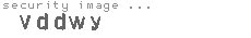 security image