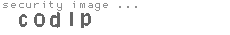 security image