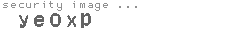 security image