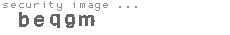security image