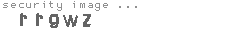 security image