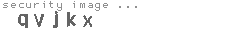 security image