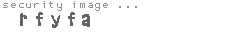 security image