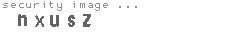 security image
