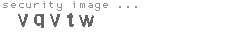 security image