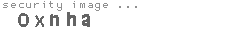 security image