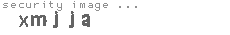 security image