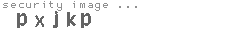 security image