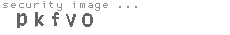 security image
