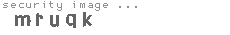 security image