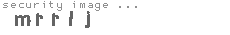 security image