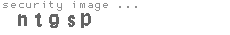 security image