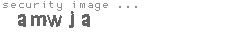 security image