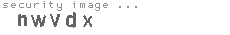 security image