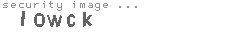 security image