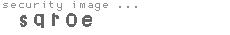 security image