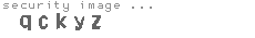 security image