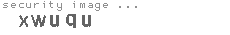 security image