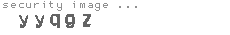 security image