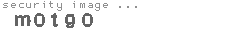 security image