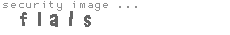 security image