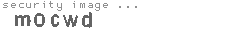 security image