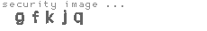 security image