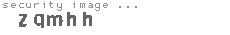 security image