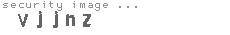 security image