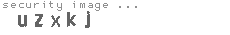 security image